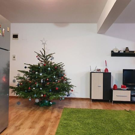 Gloria Apartament Lejlighed Baia Mare Eksteriør billede